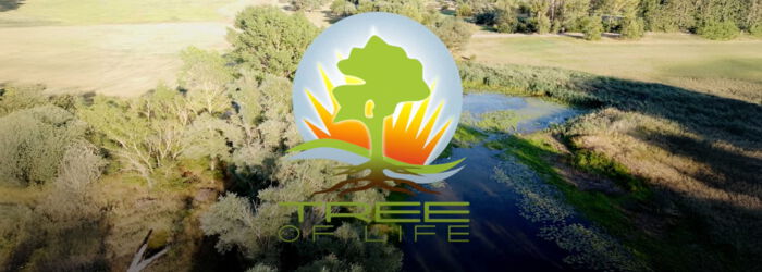 Logo von Tree of Life® – eine alternative Bestattungsart für Baumbestattungen